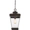 Quoizel Ravine Outdoor Hanging Lantern RAV1910WT - alternate 2